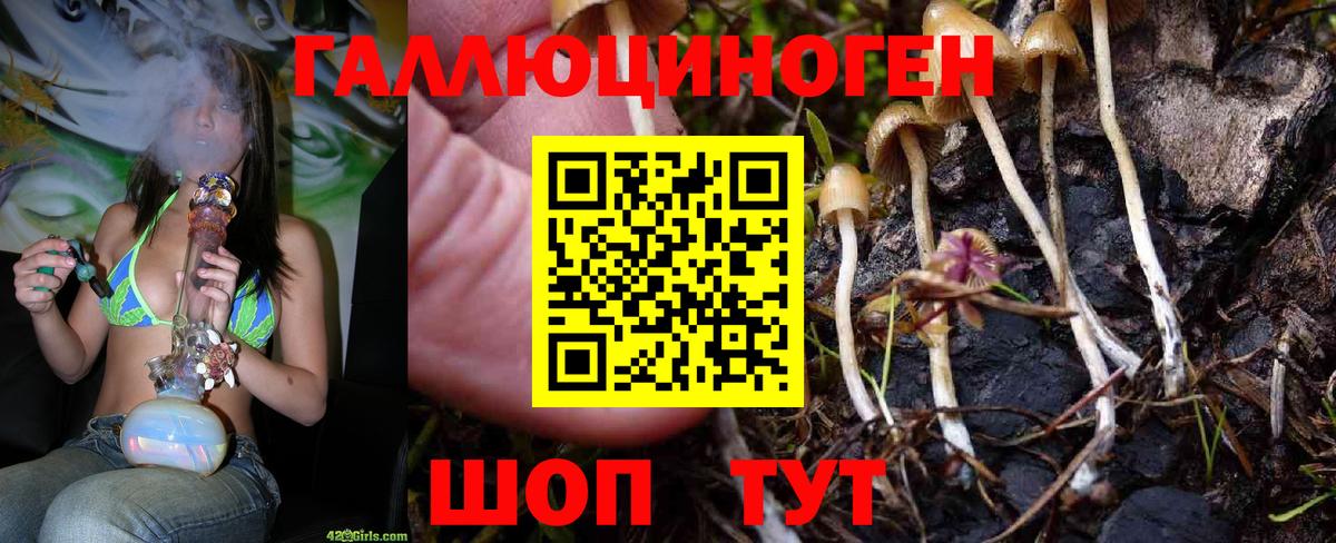 Псилоцибиновые грибы Psilocybe  где купить наркоту  Вход с VPN  Вязьма  Галлюциногенные грибы Magic Shrooms 