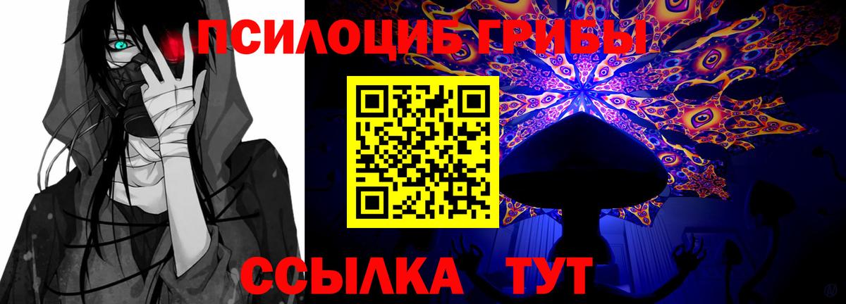 Галлюциногенные грибы MAGIC MUSHROOMS Вязьма